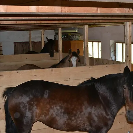 Waldrast Gasthof *
