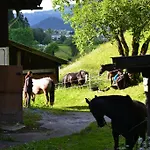 Pensjonat Waldrast *