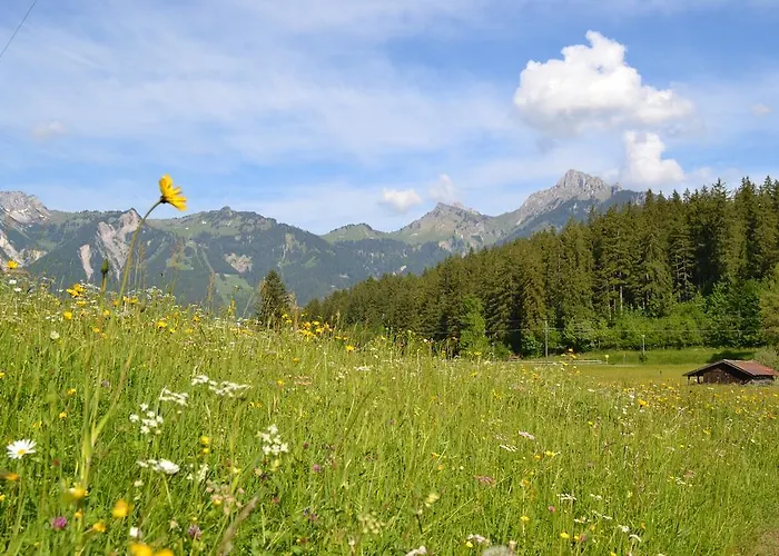 Waldrast * Ehenbichl