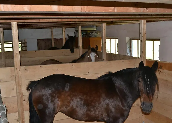 Waldrast Guest house *